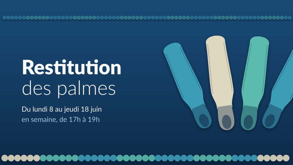 Restitution des palmes du lundi 8 au jeudi 18 juin, en semaine de 17h à 19h.
